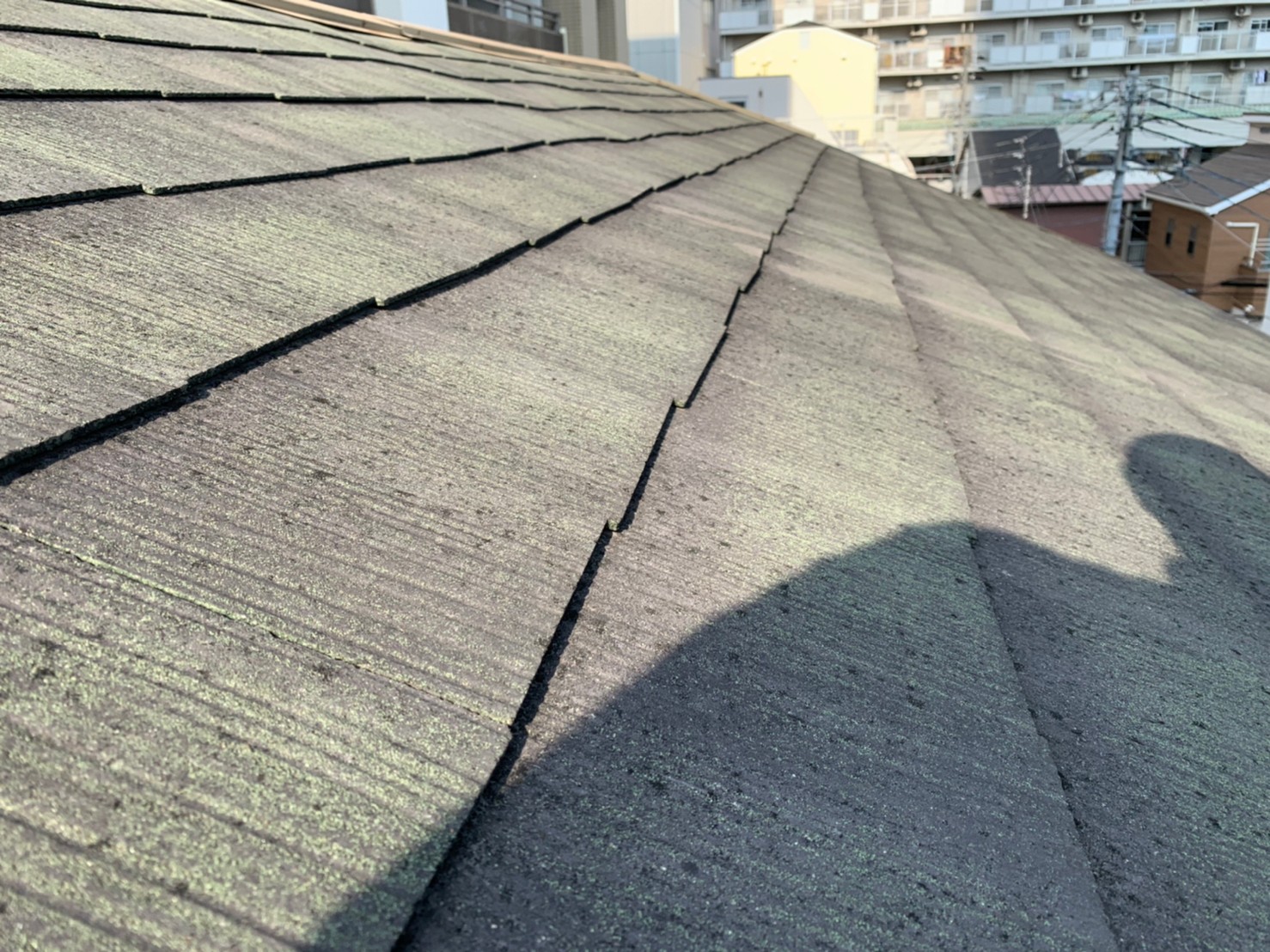 屋根材　そりの調査